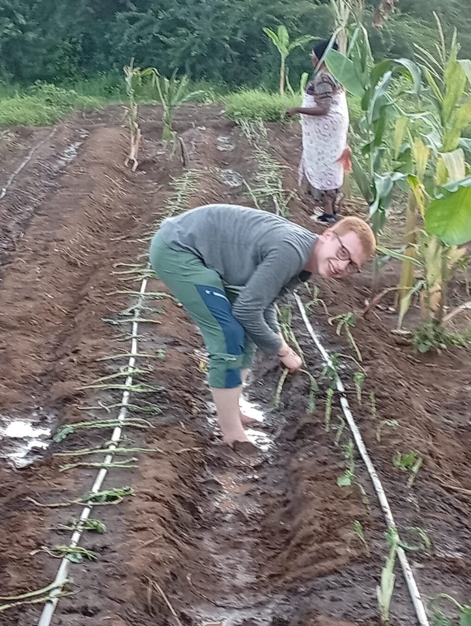 Nutrition project